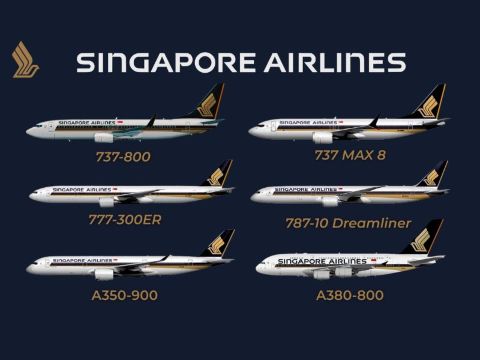 size of Singapore Airlines
