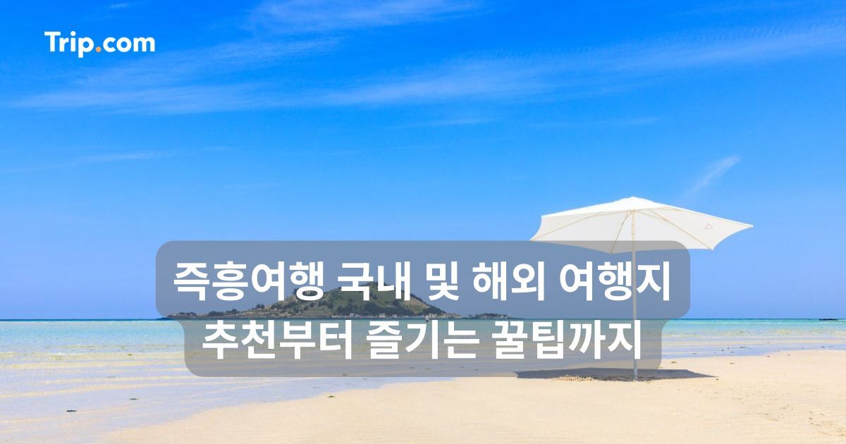 즉흥여행 추천