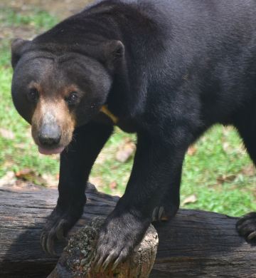 Zoo Johor