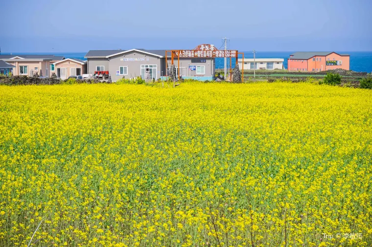Seongsu