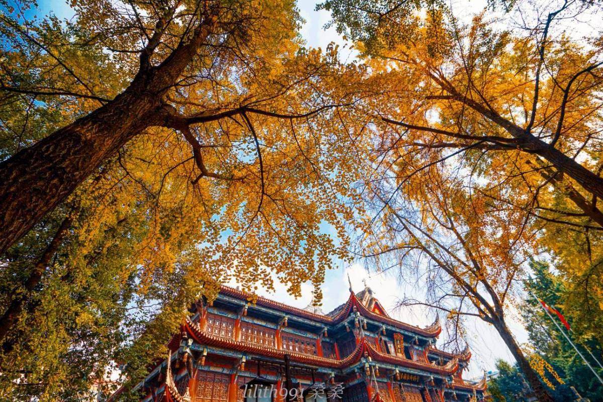 Wenshu Monastery