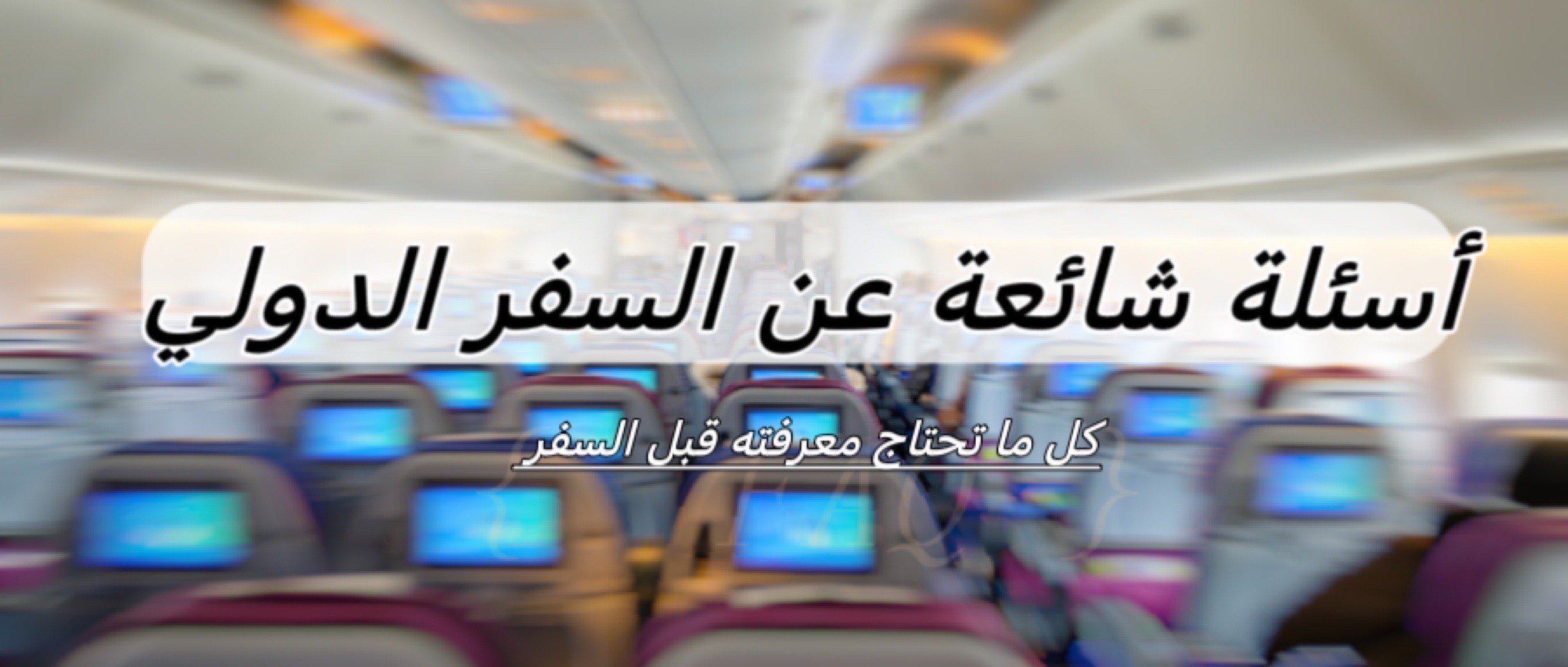 دليل السفر الدولي