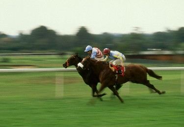 Trains to Royal Ascot 2026: Nearest station, popular routes & event info