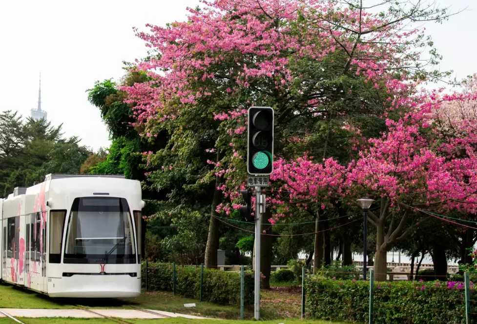7. Menavigasi Transportasi di China