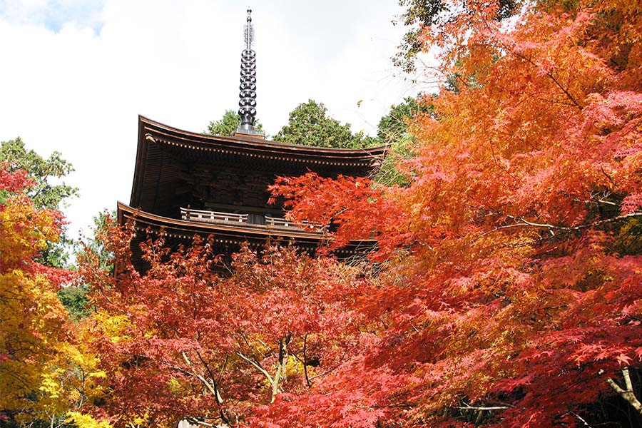湖東三山（西明寺・金剛輪寺・百済寺）