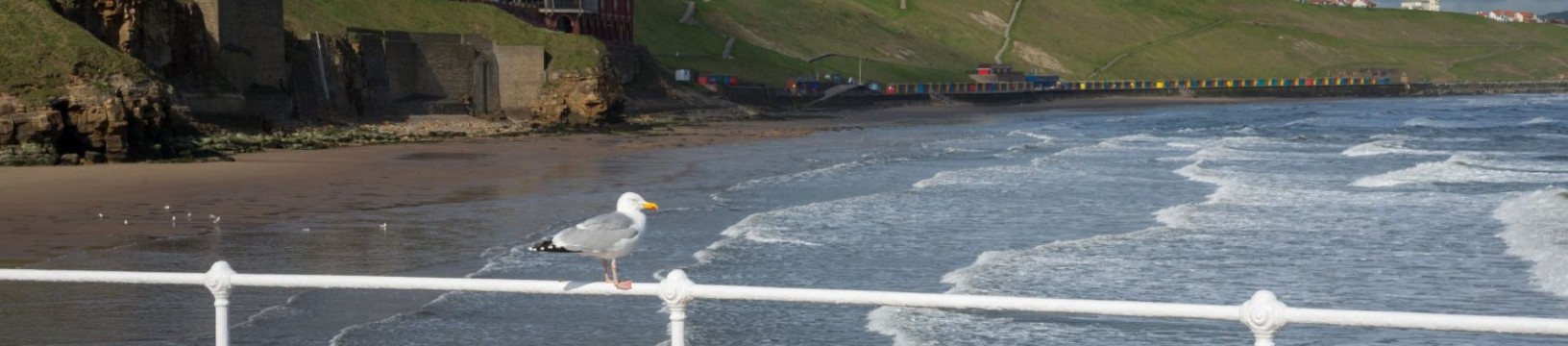 Trains to Whitby Beach day trip guide