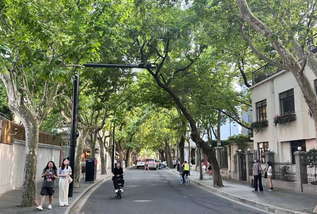 The French Concession 