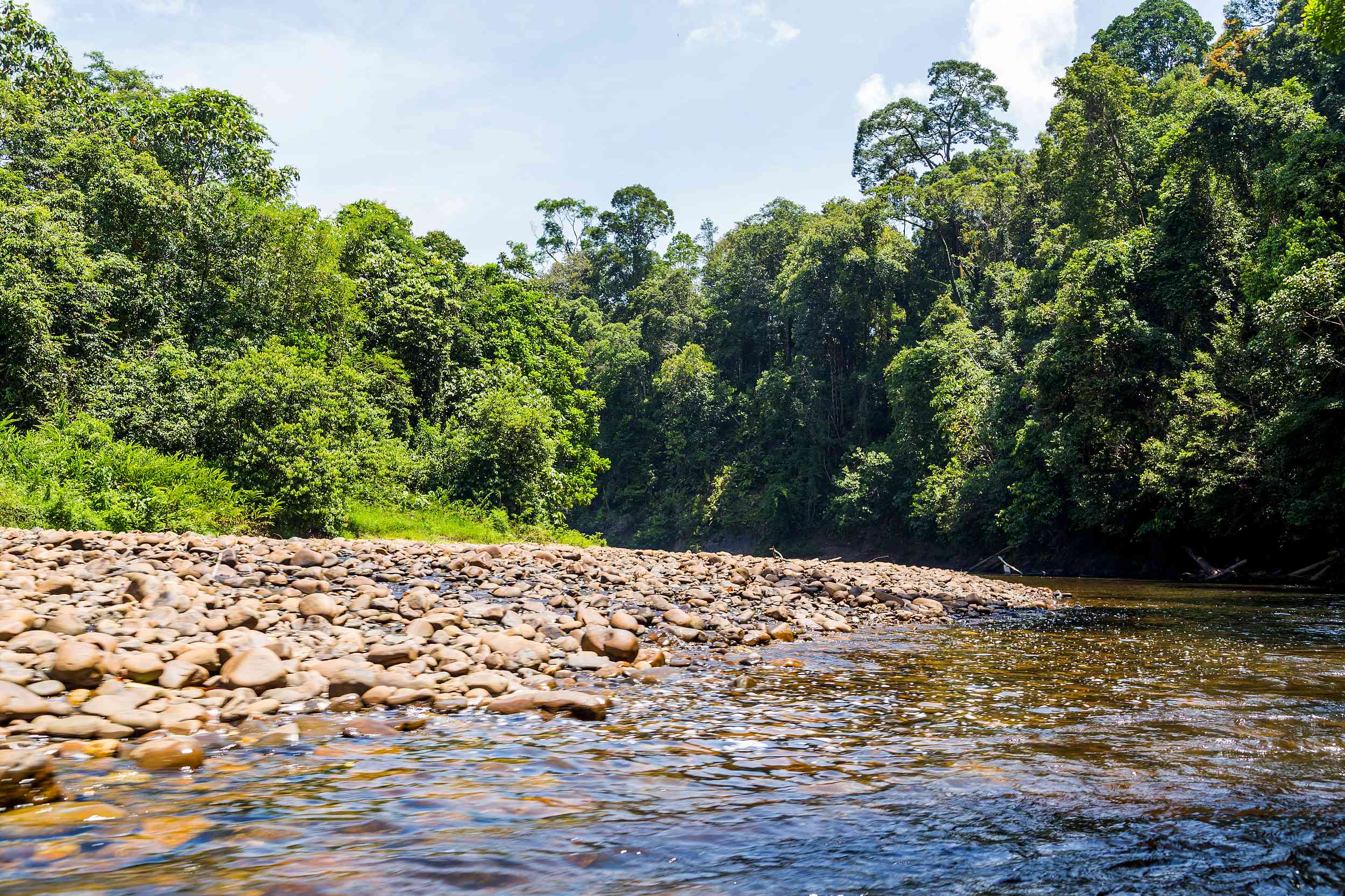 Ulu Temburong National Park