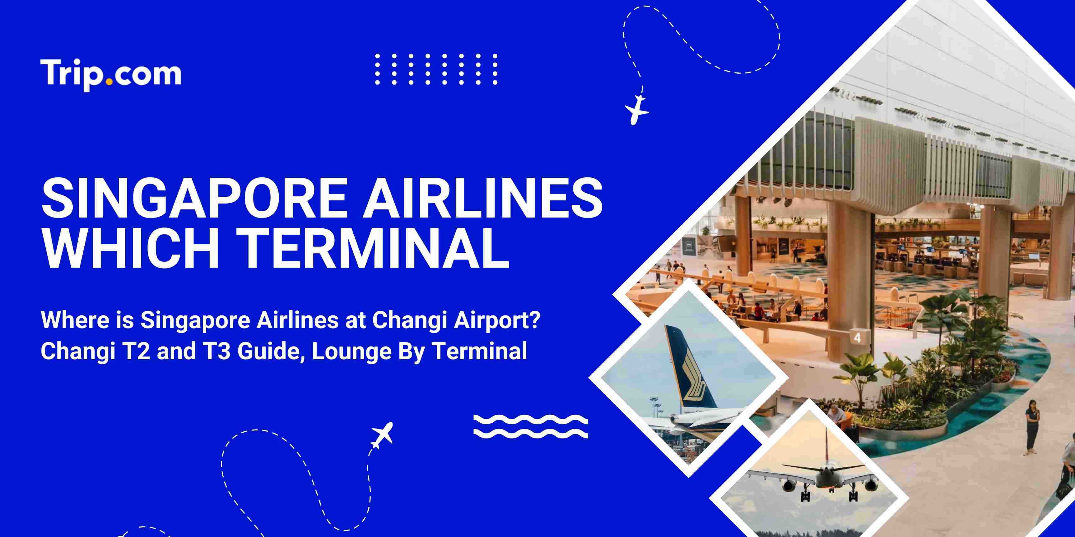 Singapore Airlines Terminal: Ultimate Changi T2 & T3 Guide (2026) | Trip.com