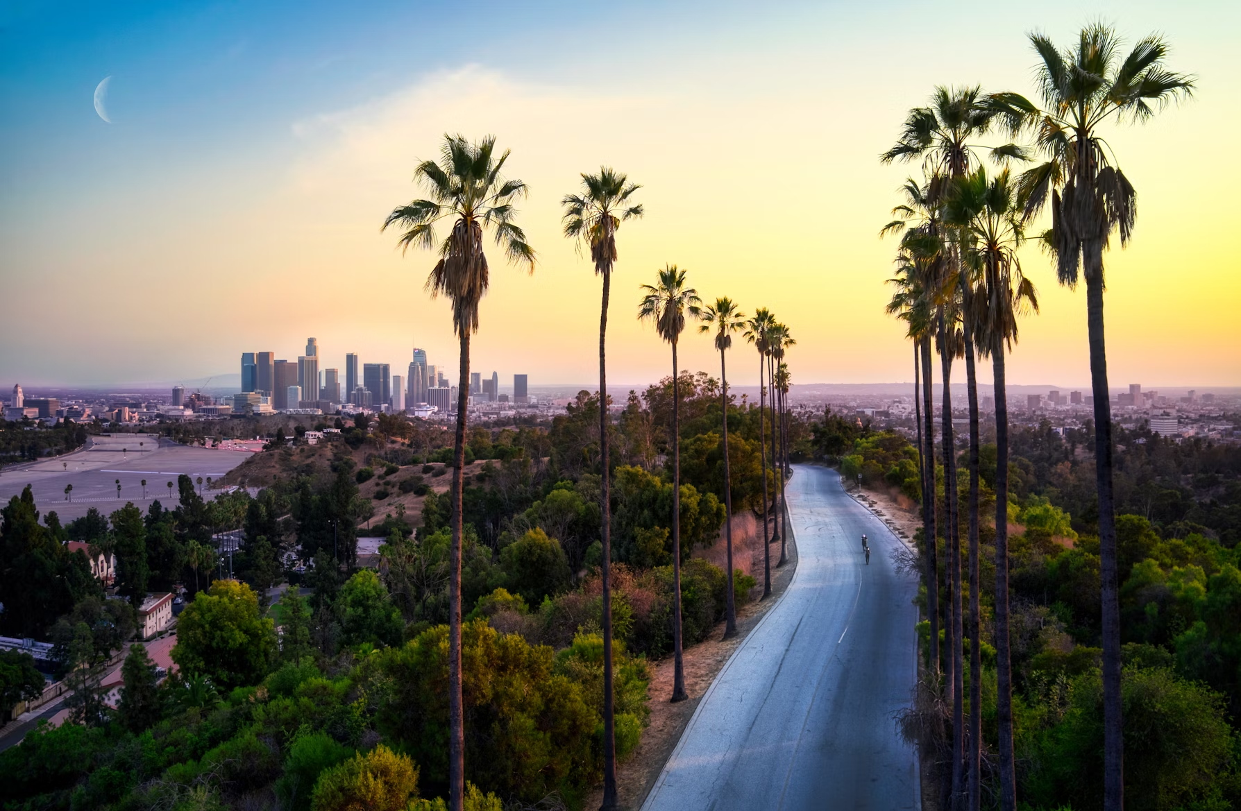 Road with palm trees in Los Angeles
