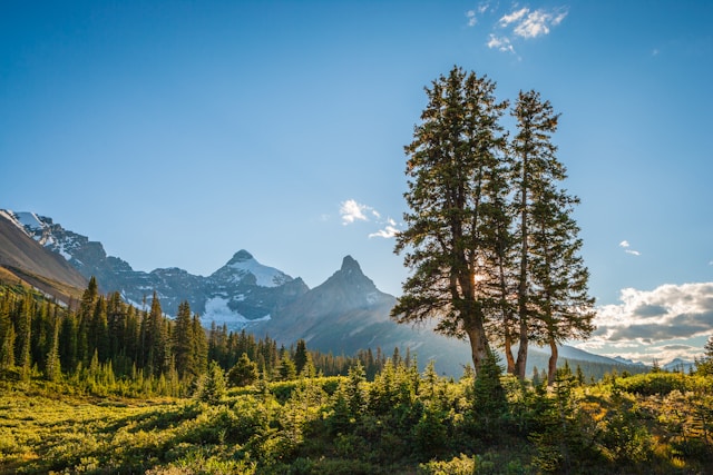 About Jasper National Park: Key Facts & Location