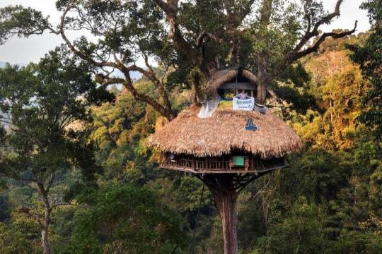 waktu terbaik ke bokeo