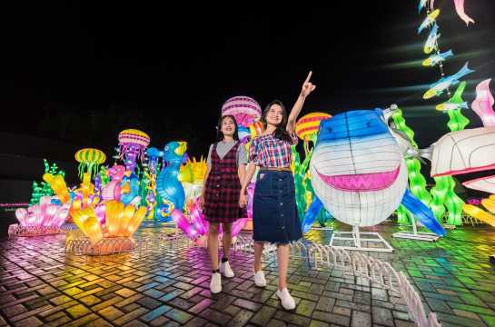 Milenial Glow Garden
