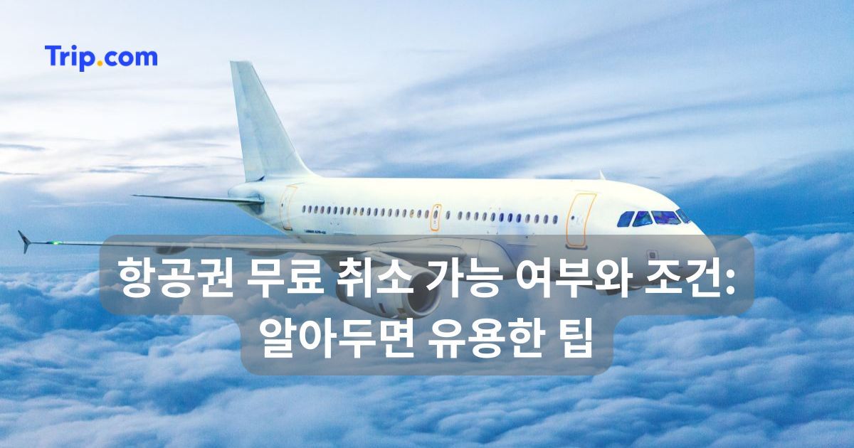 항공권 무료 취소 가능 여부와 조건: 알아두면 유용한 팁 | 트립닷컴