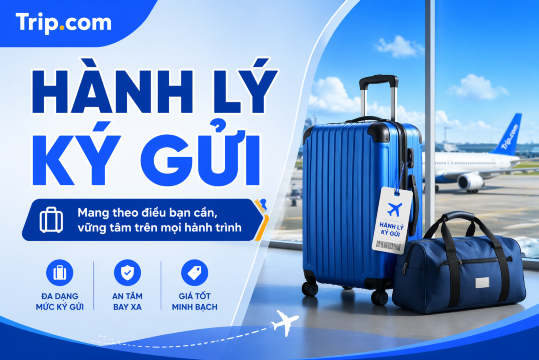 Hướng dẫn mua thêm hành lý ký gửi Trip.com chi tiết A-Z (2026) | Trip.com