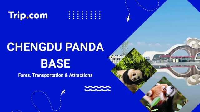 Chengdu Panda Base