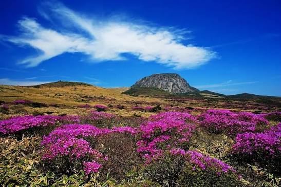 Jeju Island