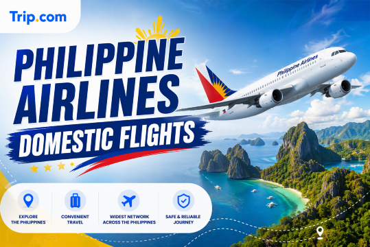Philippine Airlines Domestic Flights: Routes, Baggage & Check-in | Trip.com