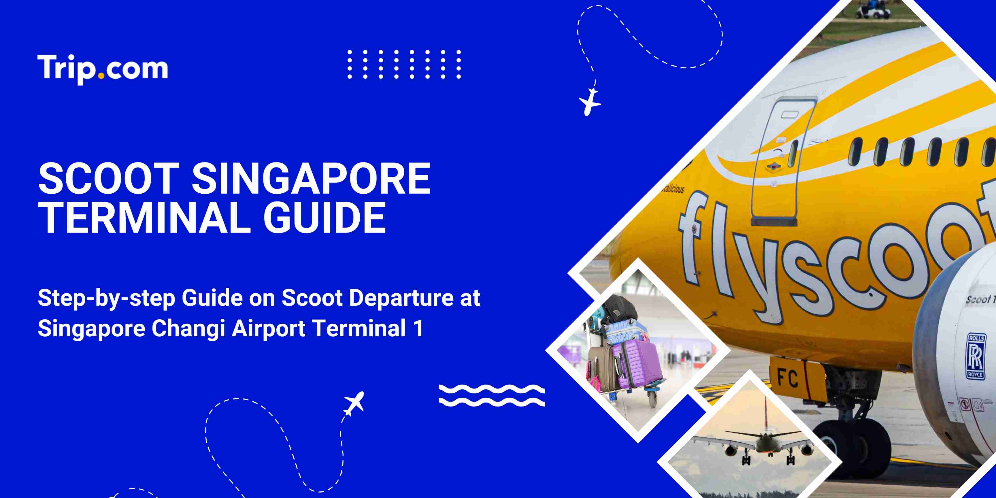 Scoot Singapore Terminal: The Ultimate Changi T1 Guide (2026) | Trip.com