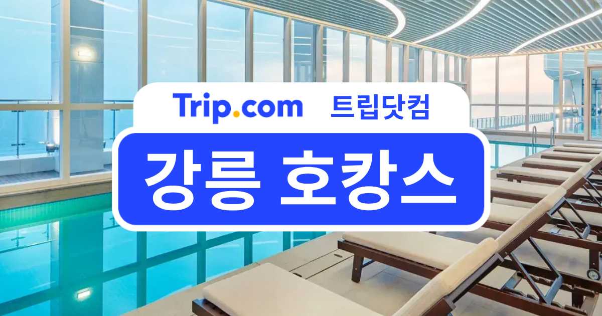 오션뷰 강릉 호캉스 지역별 총정리 | 트립닷컴
