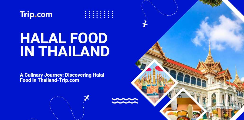 Halal Food in Thailand-Trip.com