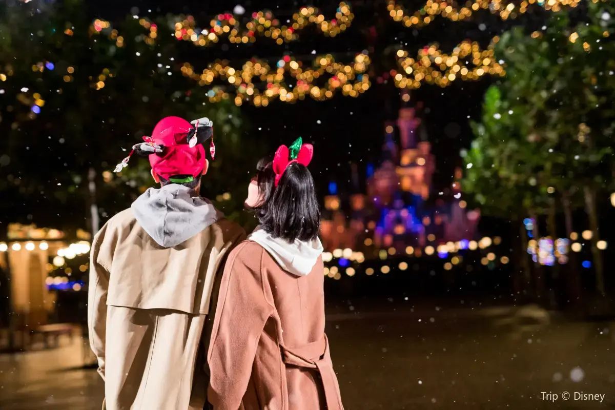 冬（12-2月）の天気