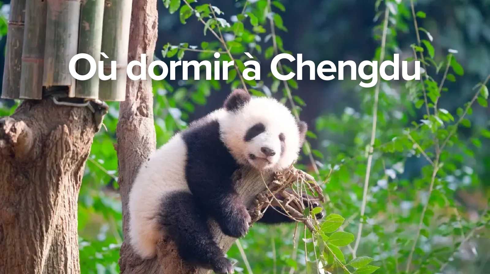 Où séjourner à Chengdu