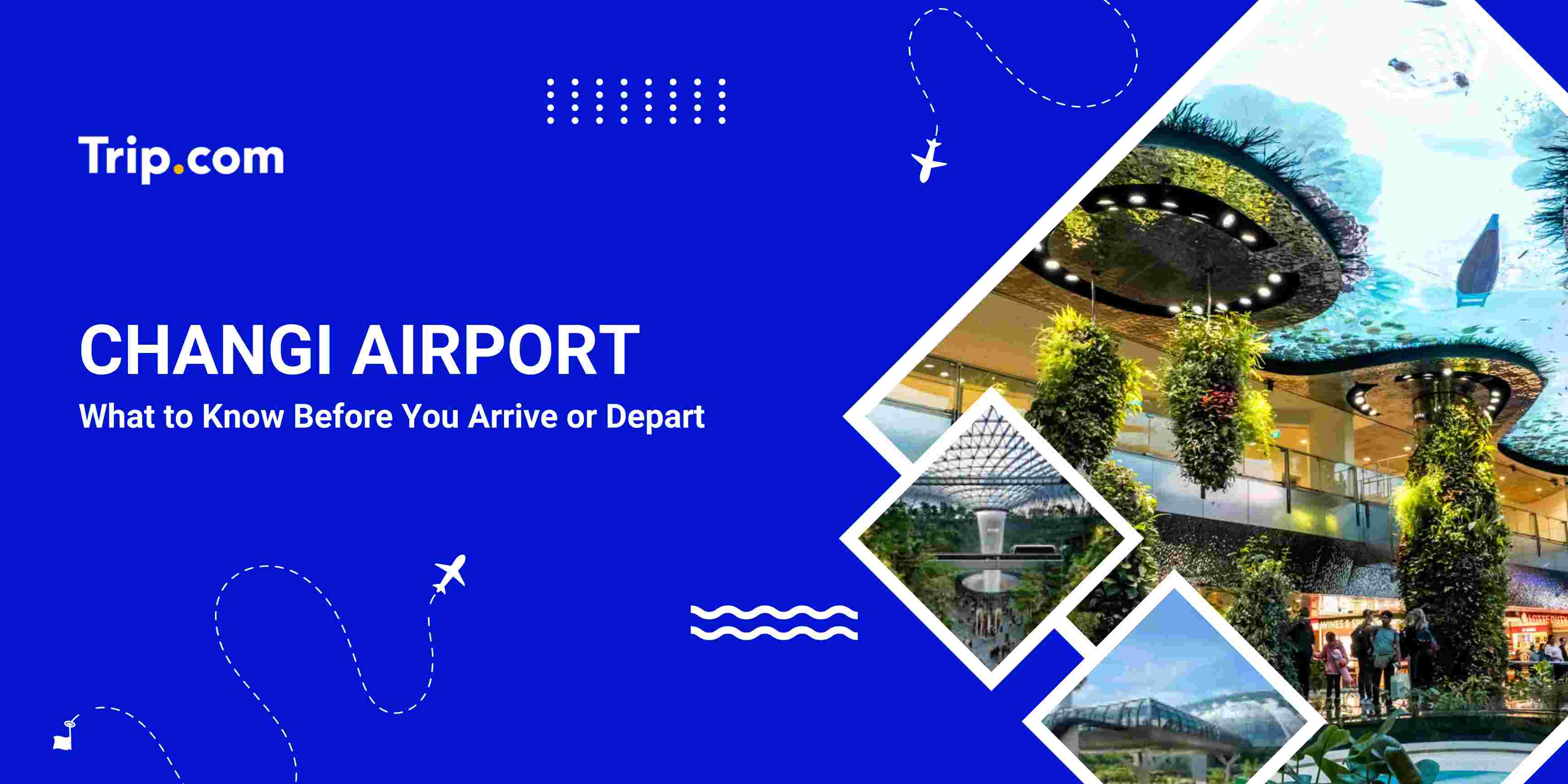 Singapore Changi Airport Guide 2026: Jewel & Terminals | Trip.com