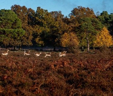 Ultimate Guide to UK National Parks by Train