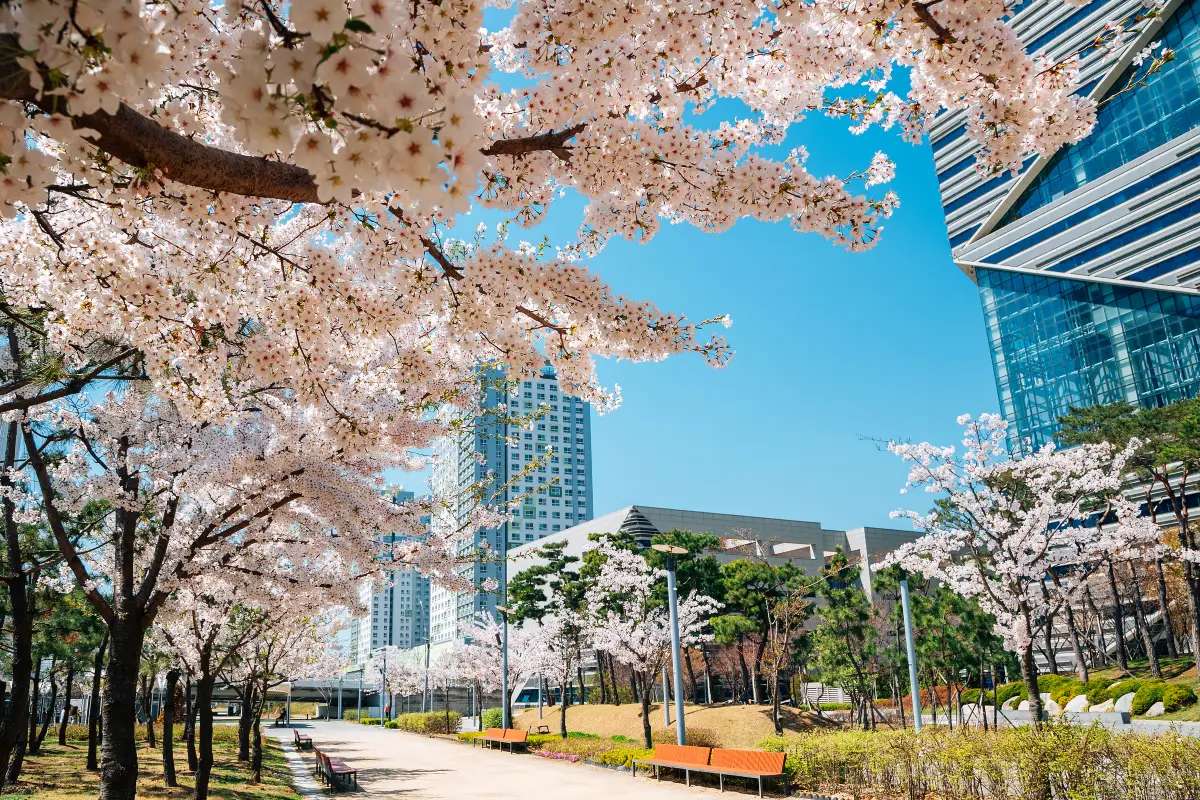 Incheon