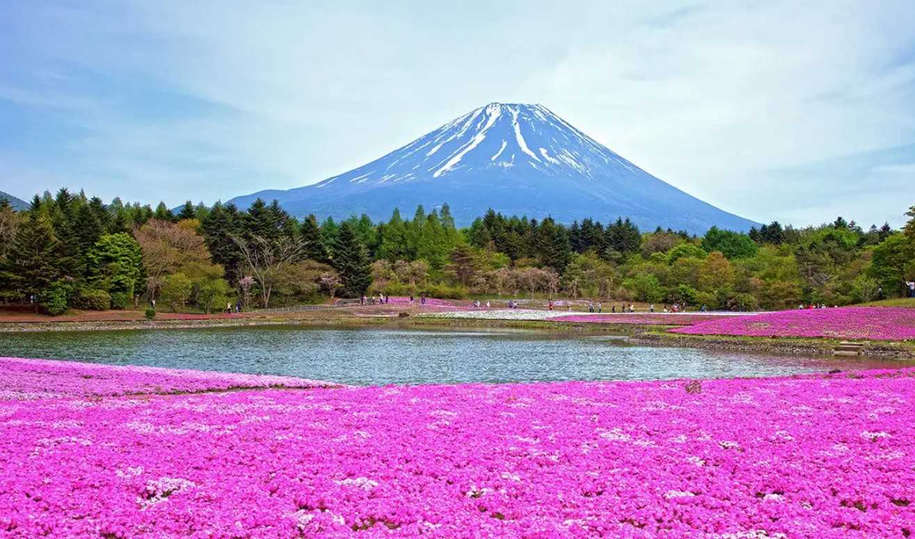 gunung fuji