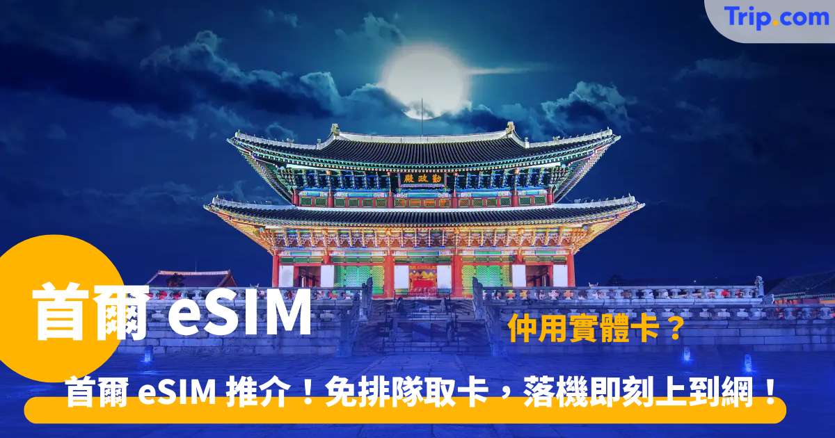 首爾 eSIM | 韓國自由行上網推介：價格與設定指南 | Trip.com