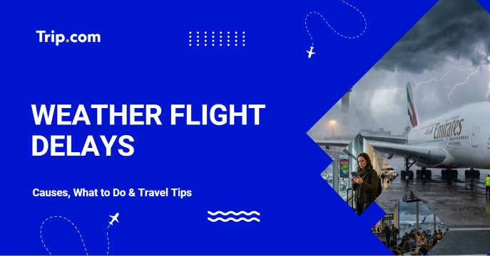  Weather Flight Delays: Causes, What to Do & Travel Tips | Trip.com