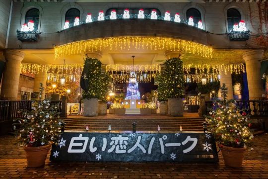 白い恋人パーク|雪景色とイルミネーションを楽しめる