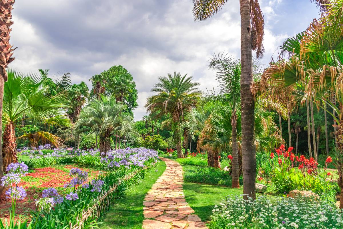 2. Explore the Vibrant Flowers and Plants at Kunming Botanical Garden
