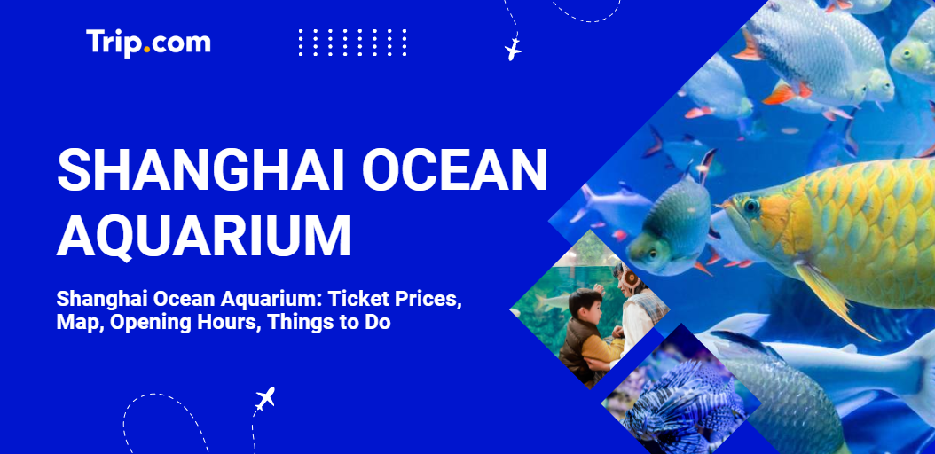 Shanghai Ocean Aquarium Guide