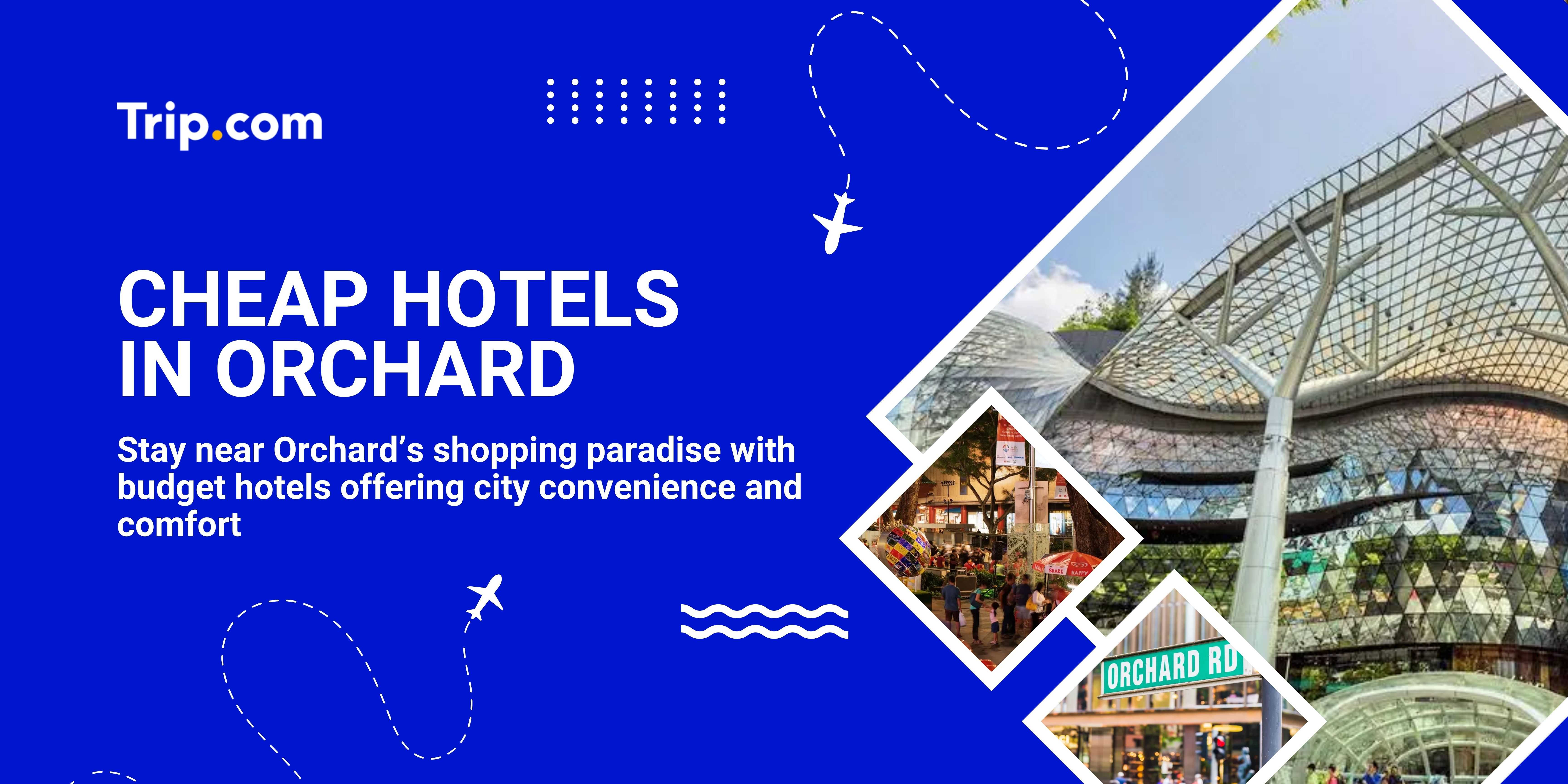 cheap hotels in orchard