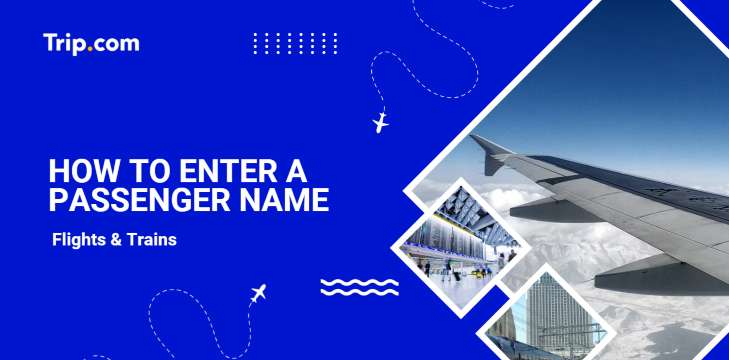 How to Enter a Passenger Name