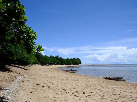 pantai tanjung kasuari
