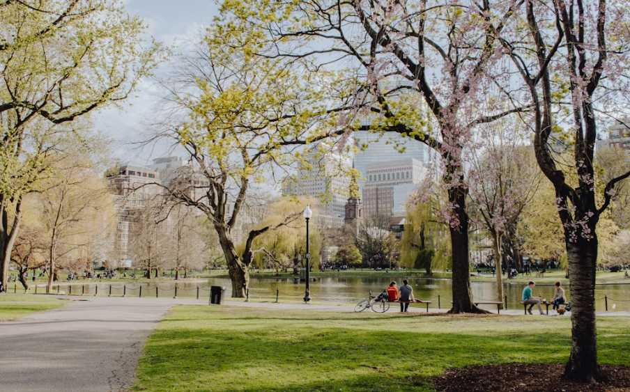 Walk or ride a bike to Central Park