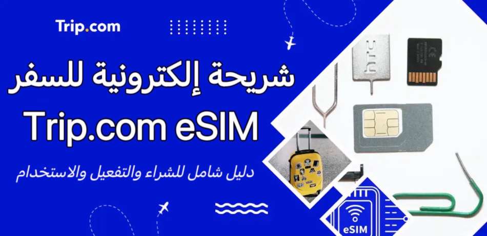 شريحة إلكترونية للسفر