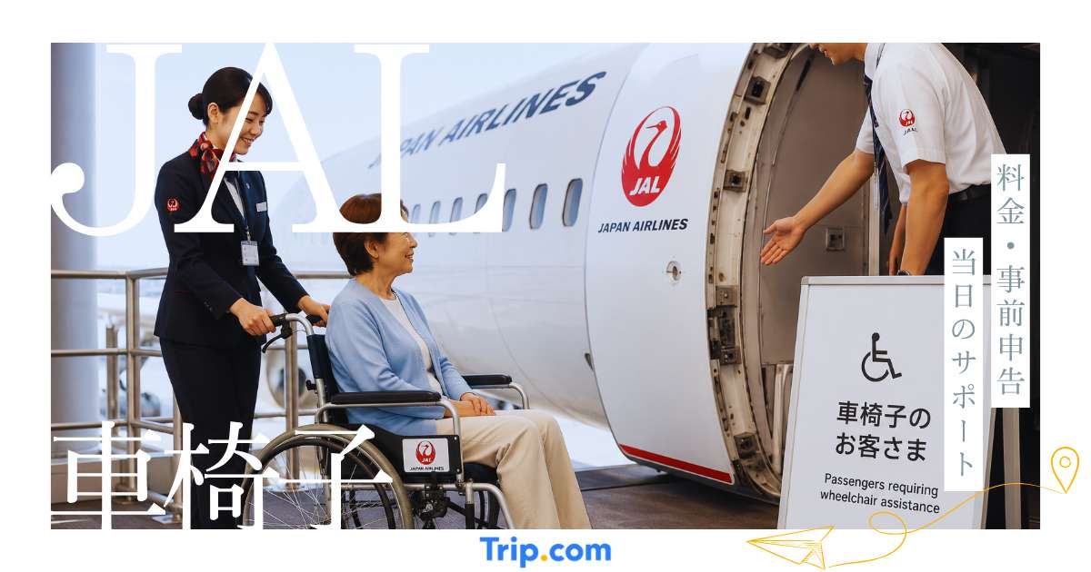 JALで車椅子は利用できる？料金・事前申告・当日のサポートを解説