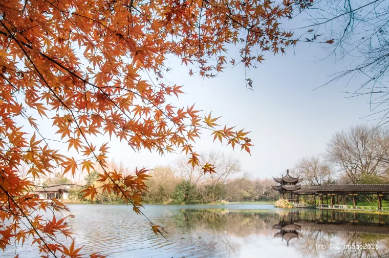 Hangzhou Autumn
