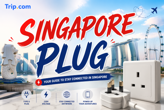 Singapore Plug