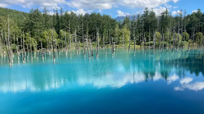 北海道：美瑛町・青い池