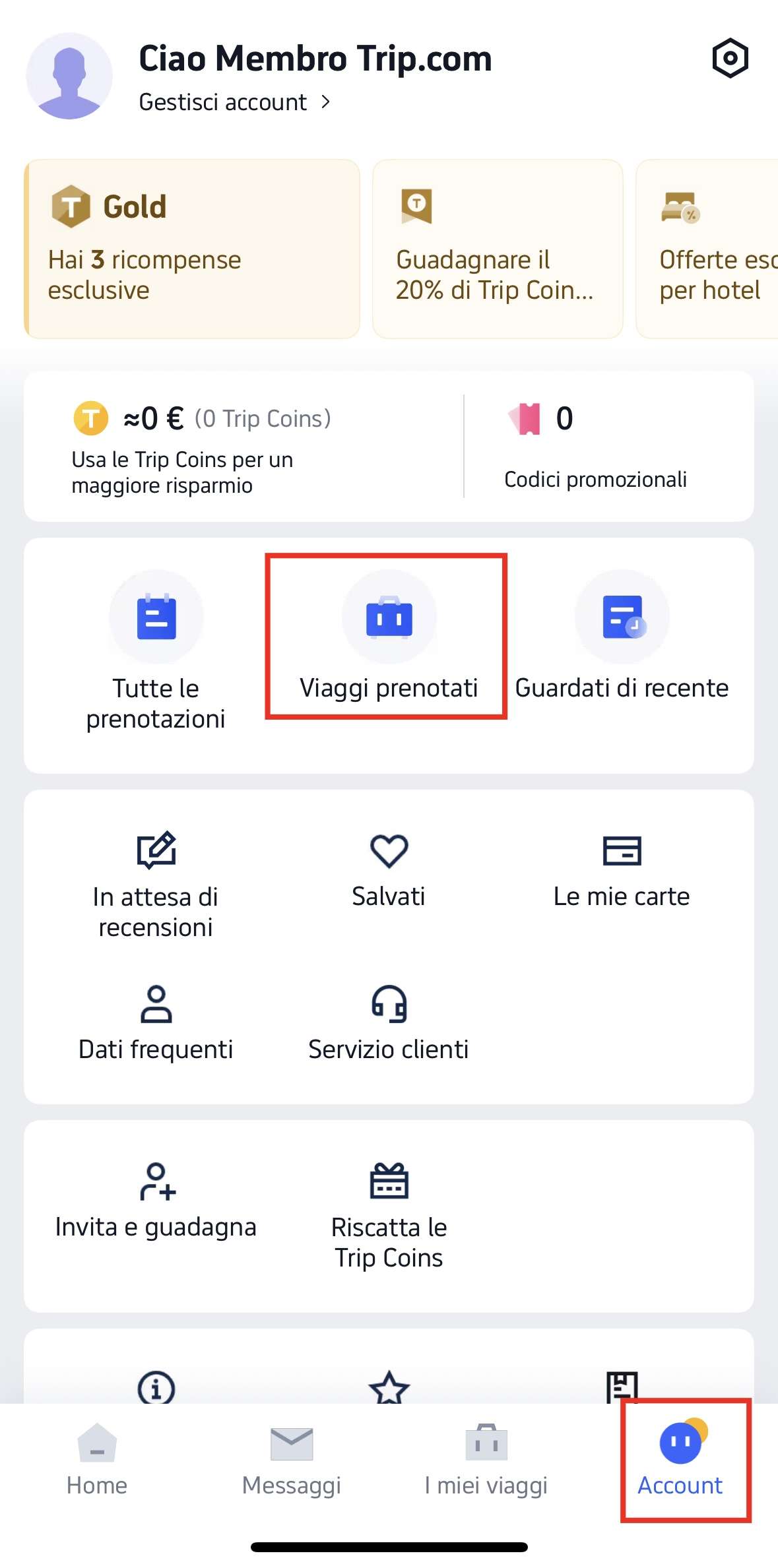 Modifica delle informazioni del passaporto su Trip.com
