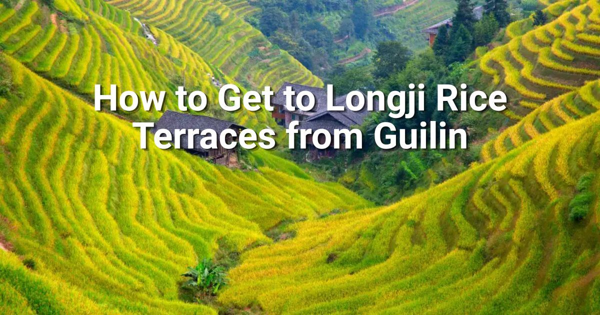 How to get to Longji Rice Terraces from Guilin in 2026