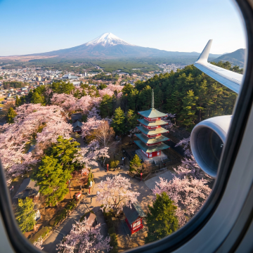 Japonya