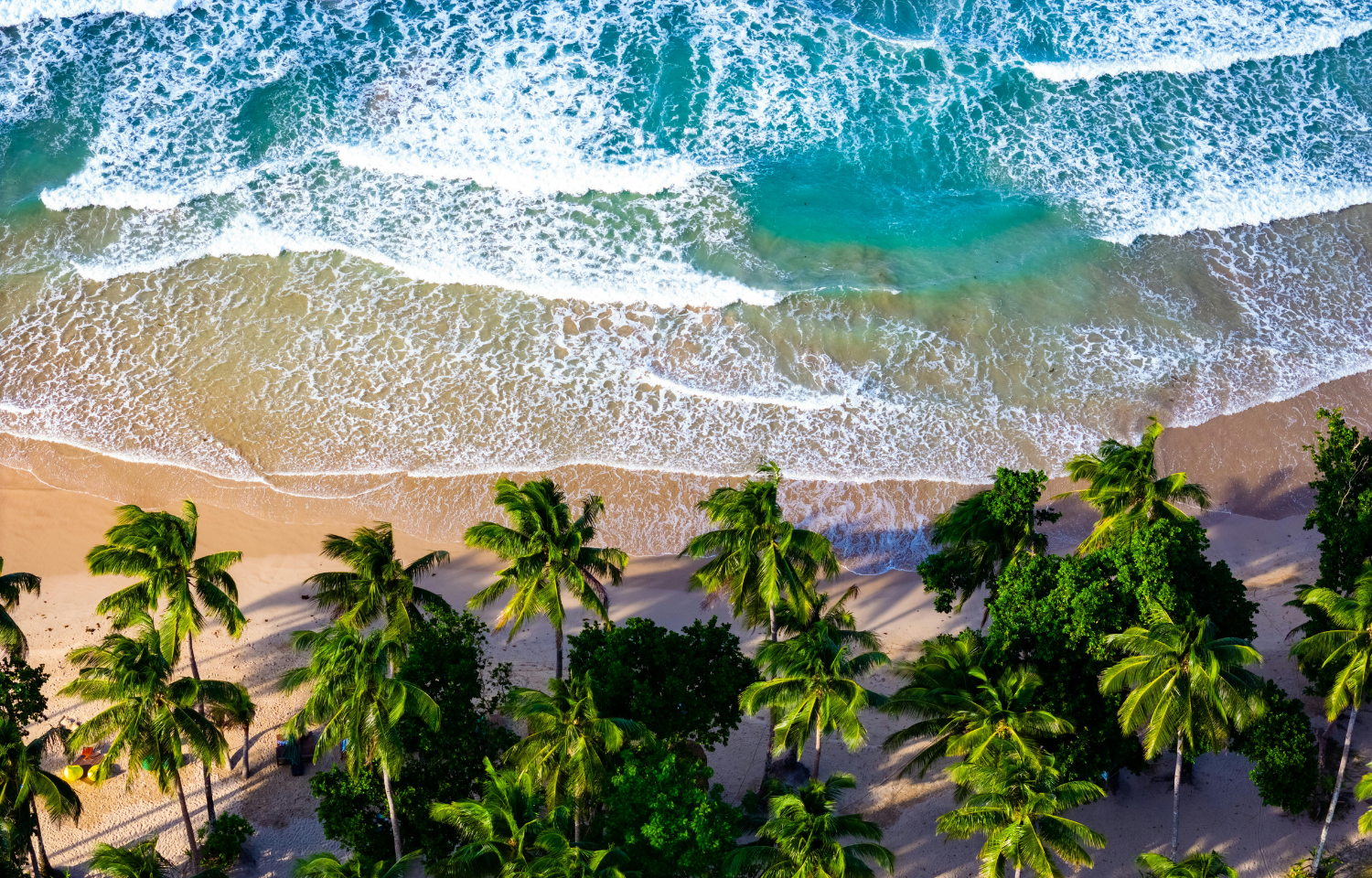 The Philippines