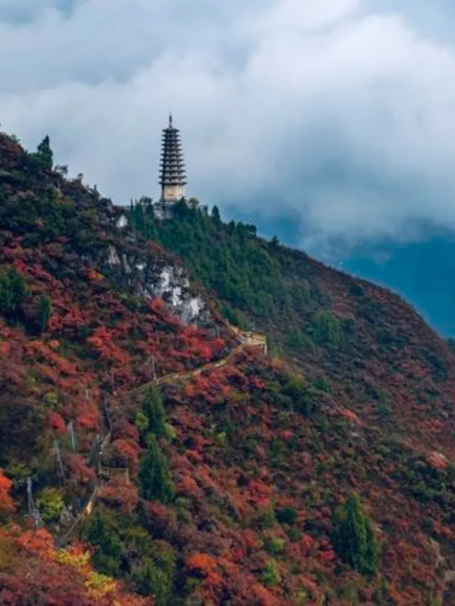 Best Wushan, Best Three Gorges